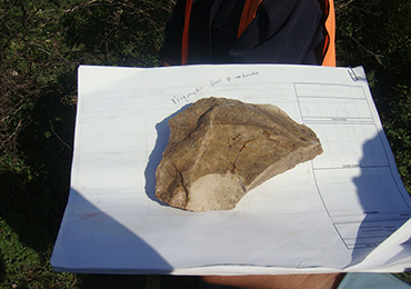 Perfosierra